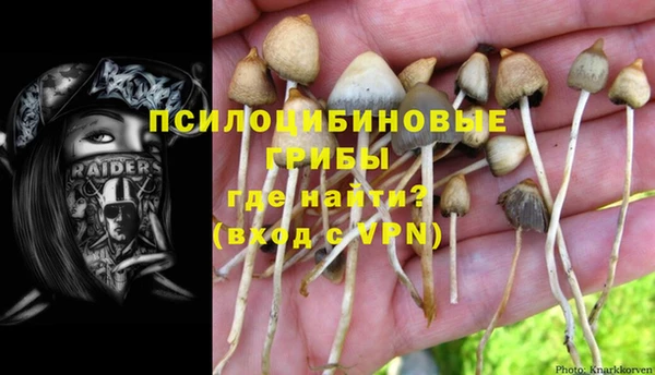 а пвп мука Пересвет
