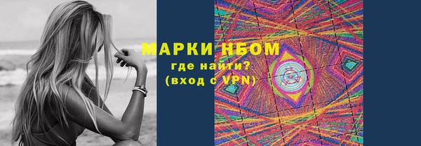 метадон Богданович