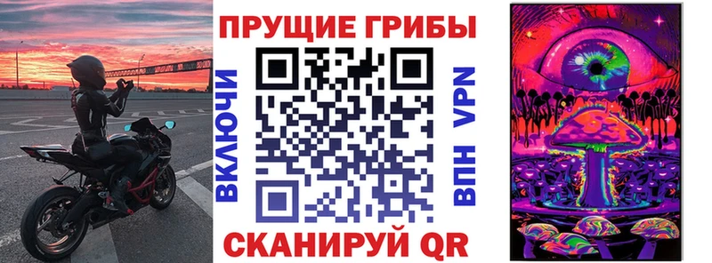 Галлюциногенные грибы Psilocybine cubensis  Орск 