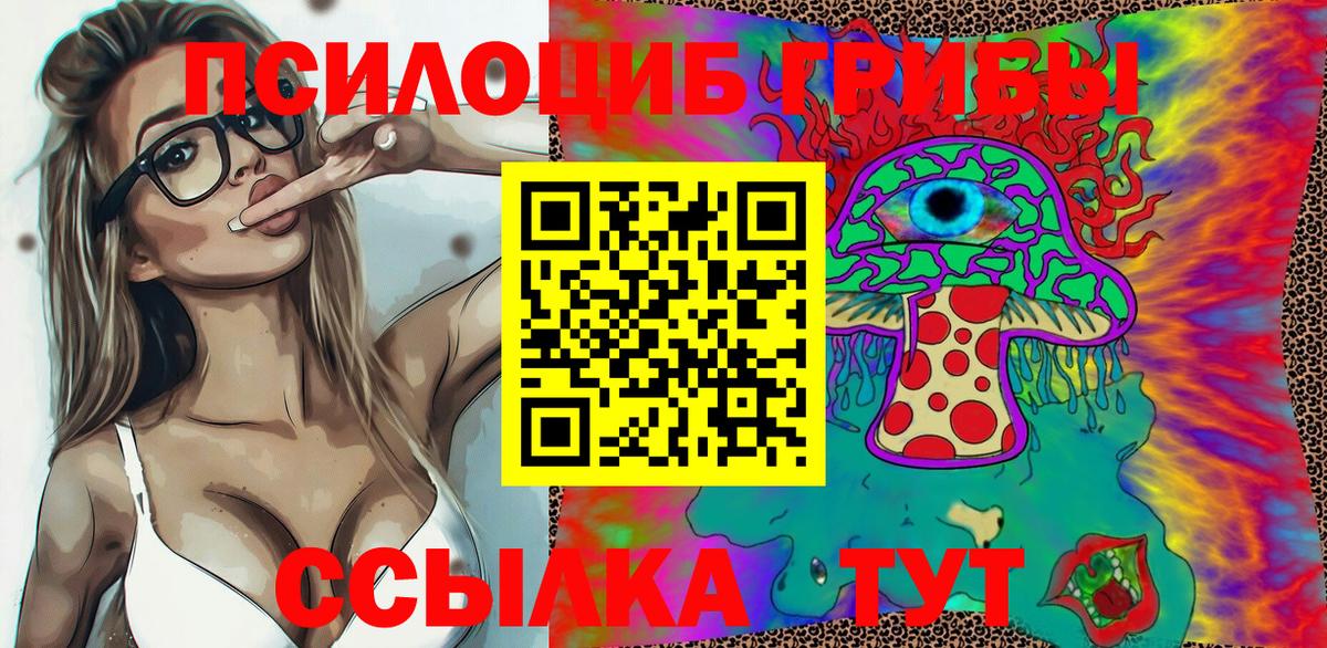 Галлюциногенные грибы Psilocybine cubensis Орск